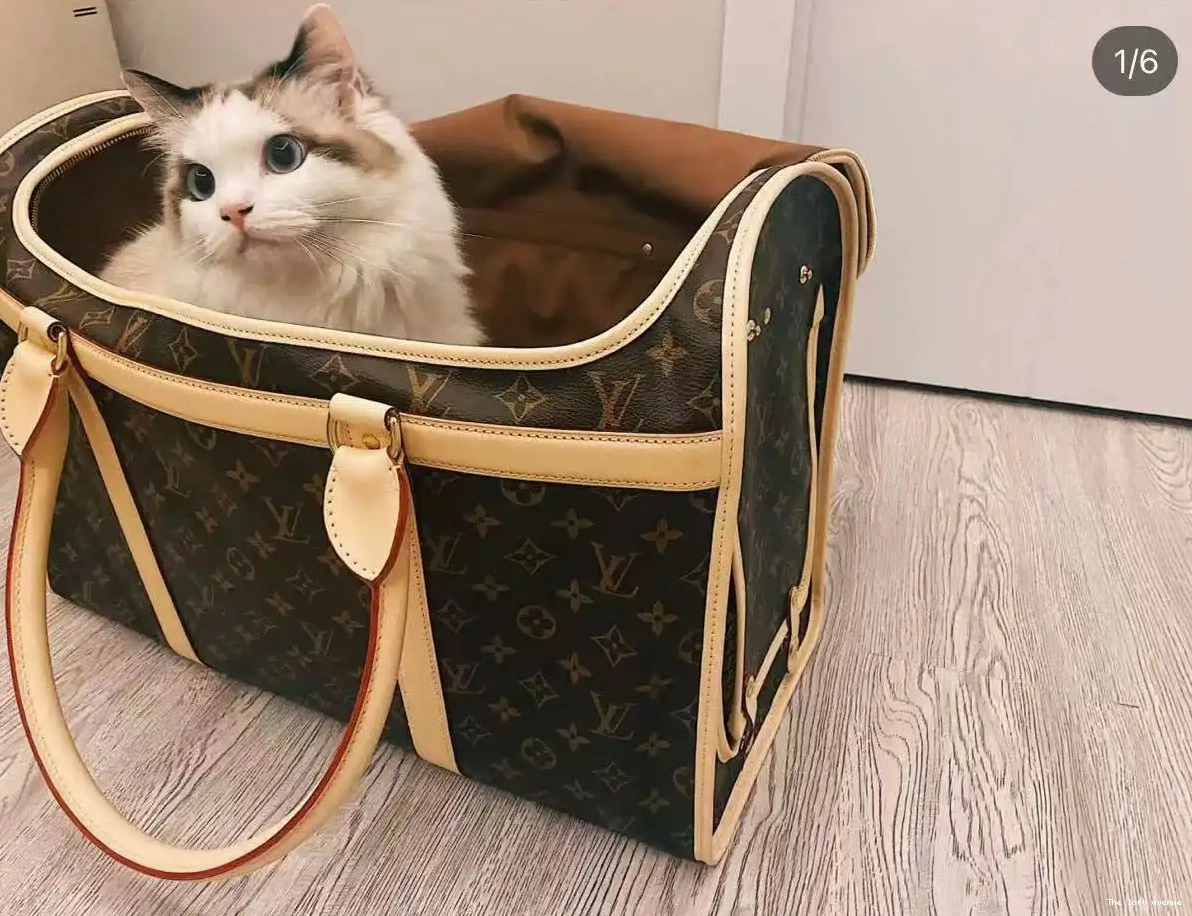 PET LV CUSTOM BAG 0501
